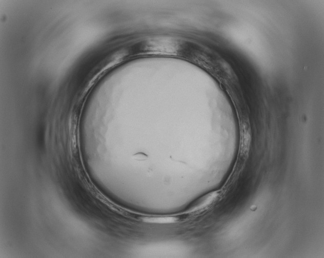 X0000087361487200705181139