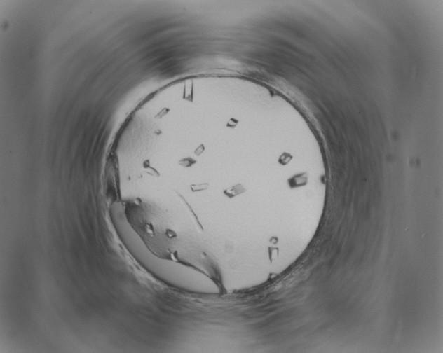 X0000087361488200705181139