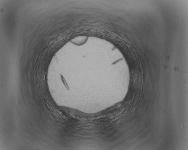 X0000087361489200705181138