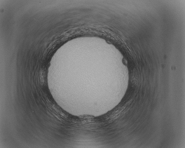 X0000087361490200705181138