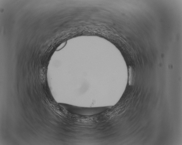 X0000087361491200705181138