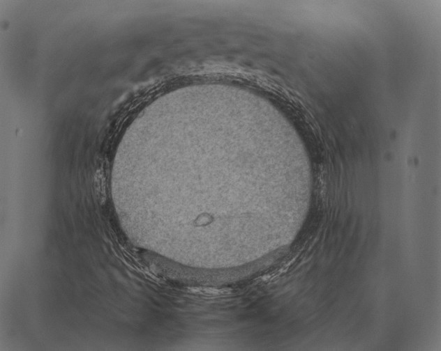 X0000087361493200705181138