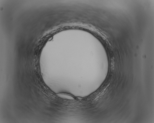 X0000087361494200705181138