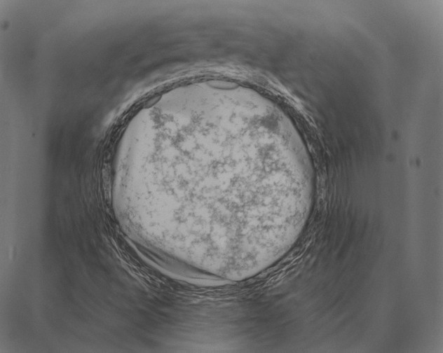 X0000087361496200705181138