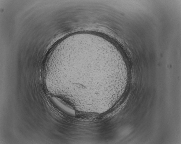 X0000087361497200705181138