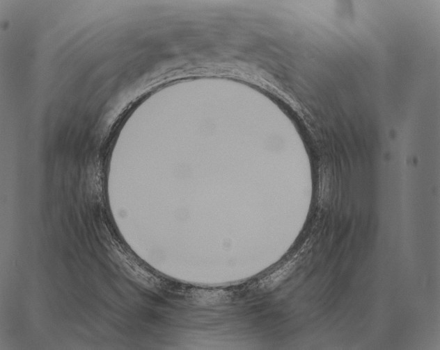 X0000087361498200705181138