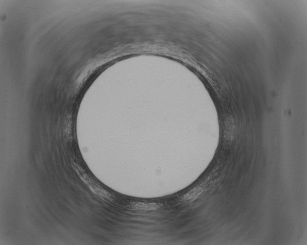 X0000087361499200705181138