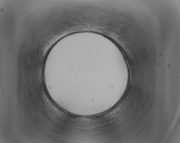 X0000087361500200705181138