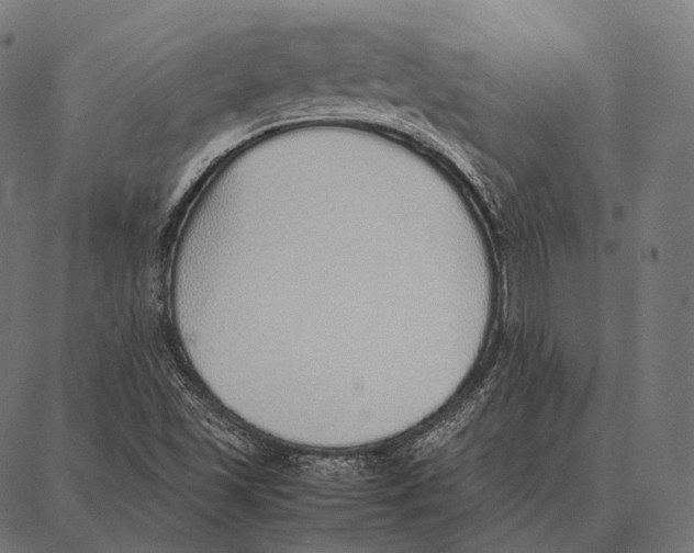 X0000087361501200705181138