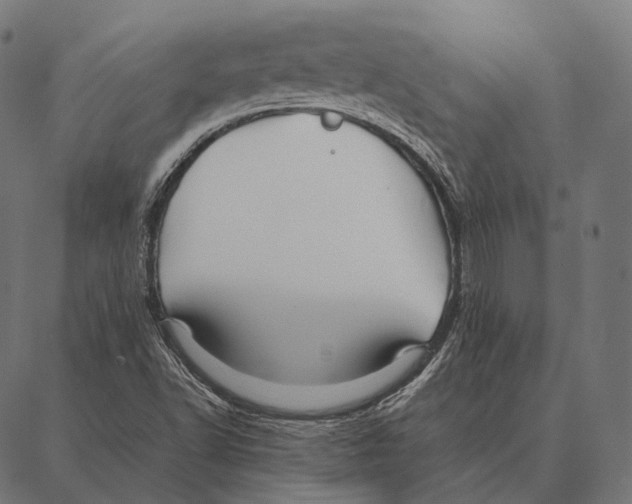 X0000087361502200705181138