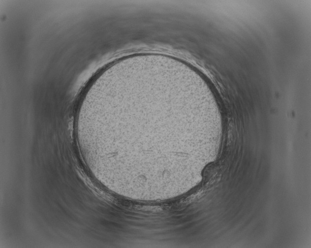 X0000087361503200705181138