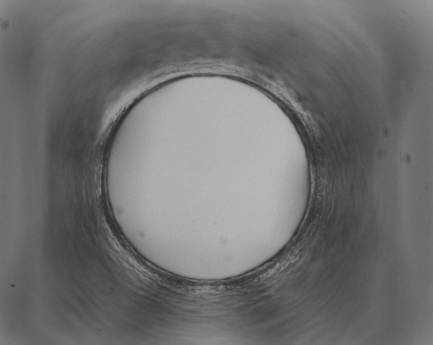 X0000087361504200705181138