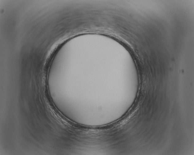 X0000087361506200705181138