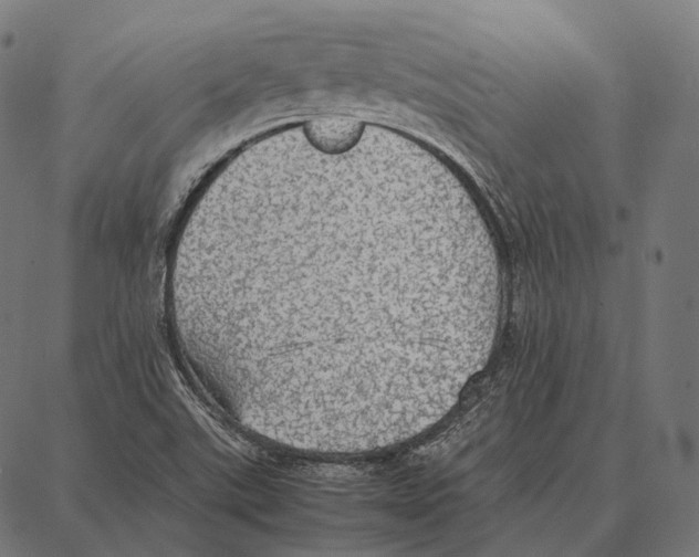 X0000087361507200705181138