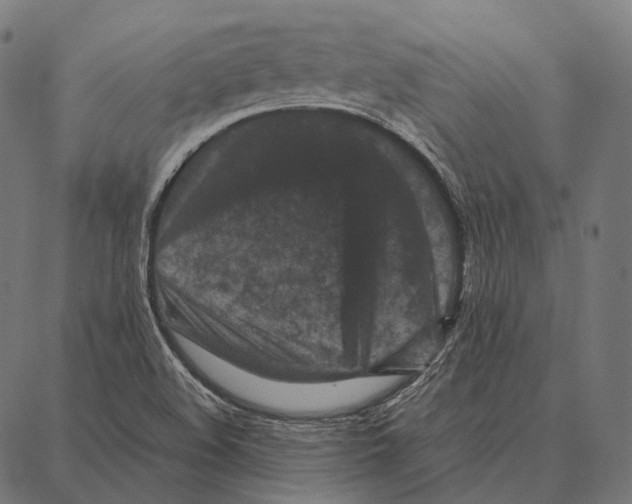 X0000087361508200705181138