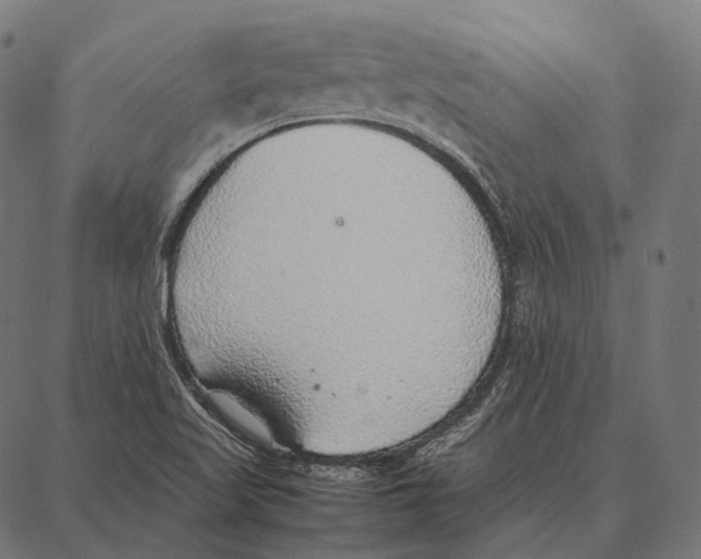 X0000087361509200705181138