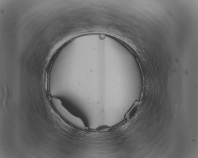 X0000087361510200705181138