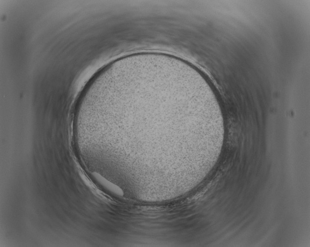 X0000087361511200705181138