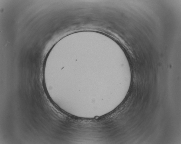 X0000087361512200705181138