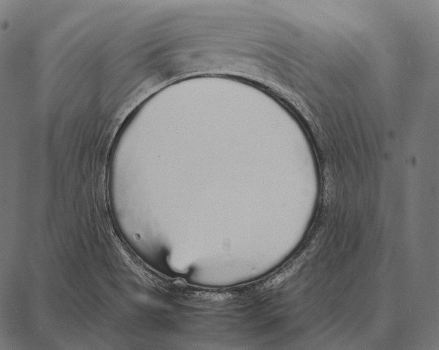 X0000087361513200705181138