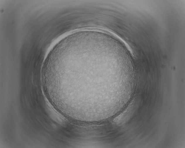 X0000087361514200705181138