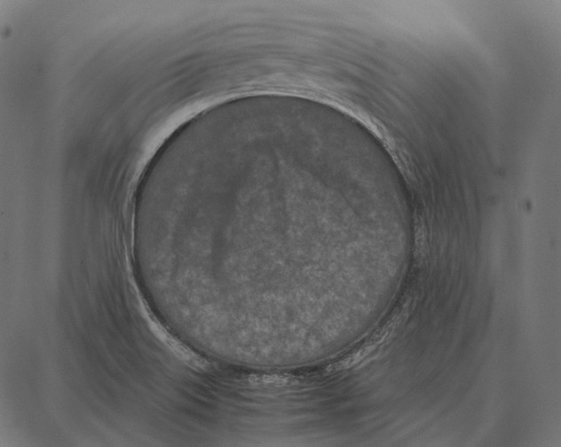 X0000087361515200705181138