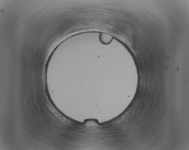 X0000087361516200705181138