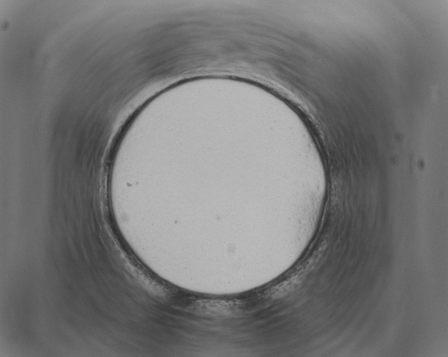 X0000087361517200705181138