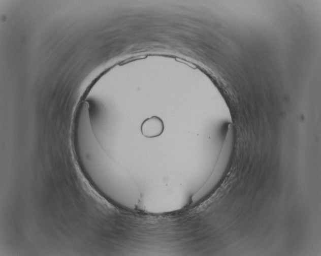 X0000087361518200705181138