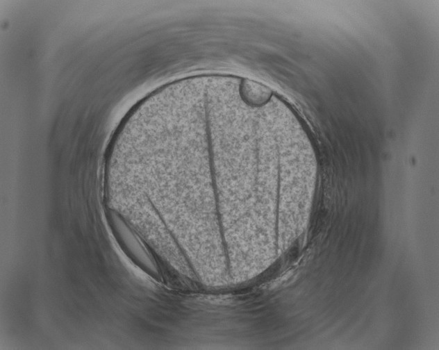 X0000087361519200705181139