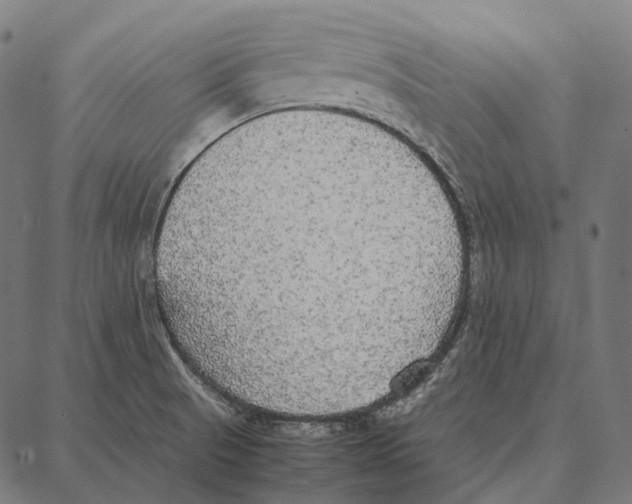 X0000087361521200705181139