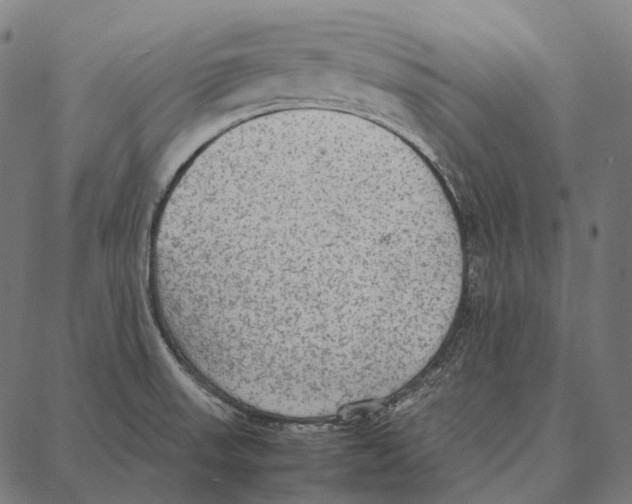 X0000087361523200705181139