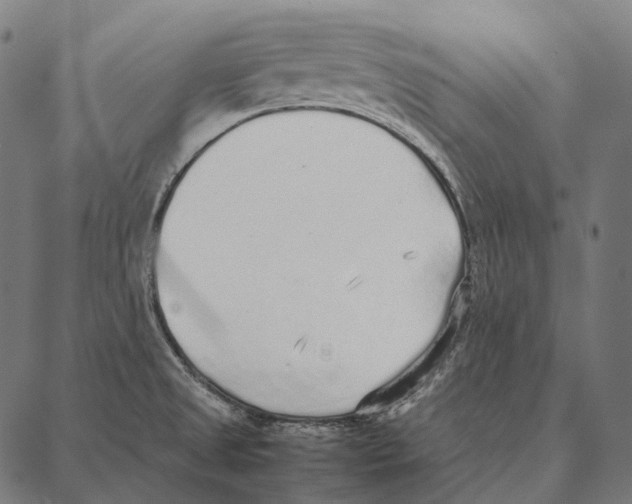 X0000087361525200705181139