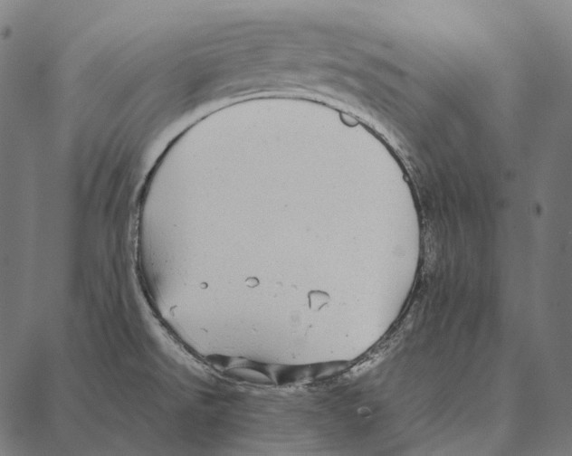 X0000087361526200705181139