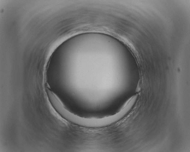 X0000087361528200705181139