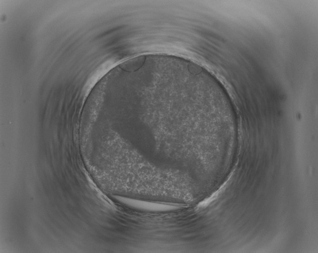 X0000087361529200705181139