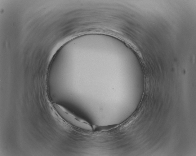 X0000087361530200705181139