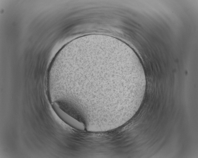 X0000087361531200705181139