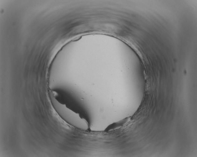 X0000087361532200705181139