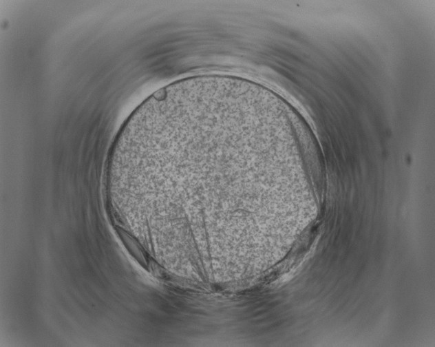 X0000087361533200705181139