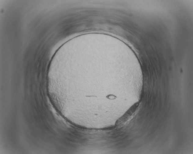 X0000087361534200705181139