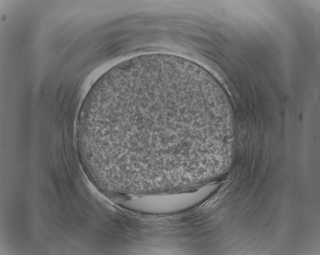 X0000087361535200705181139