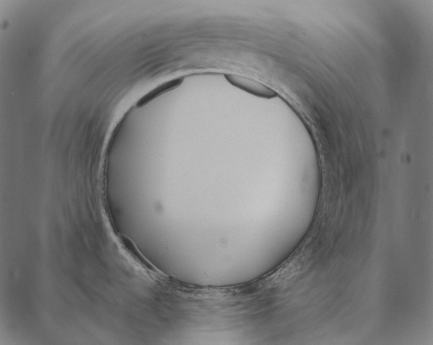 X0000087361536200705181139