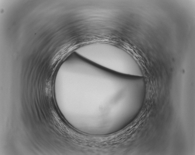 X0000087370002200704200829