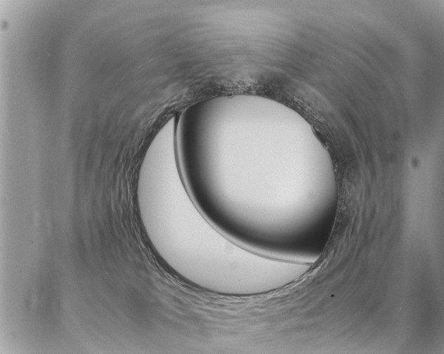 X0000087370037200704200829