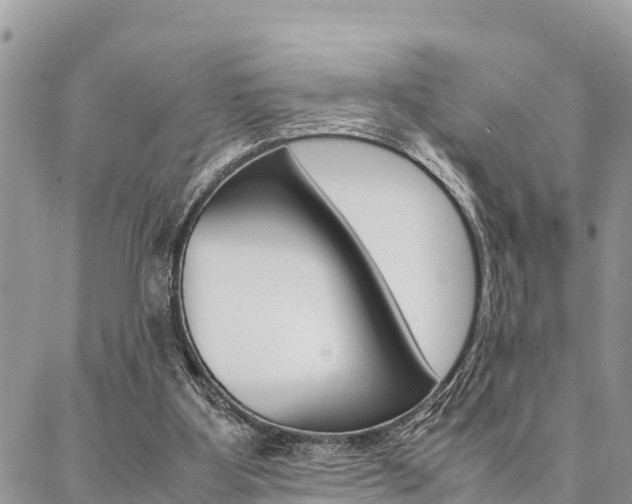X0000087370107200704200828