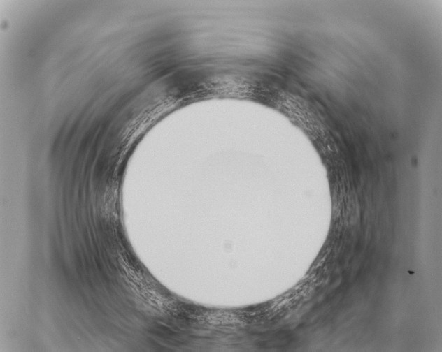 X0000087370146200704200826