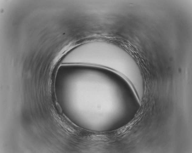 X0000087370150200704200826