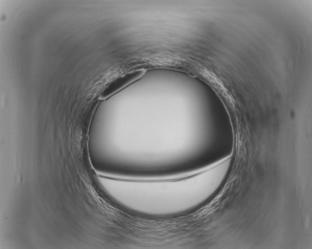 X0000087370201200704200826
