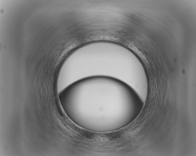 X0000087370207200704200826